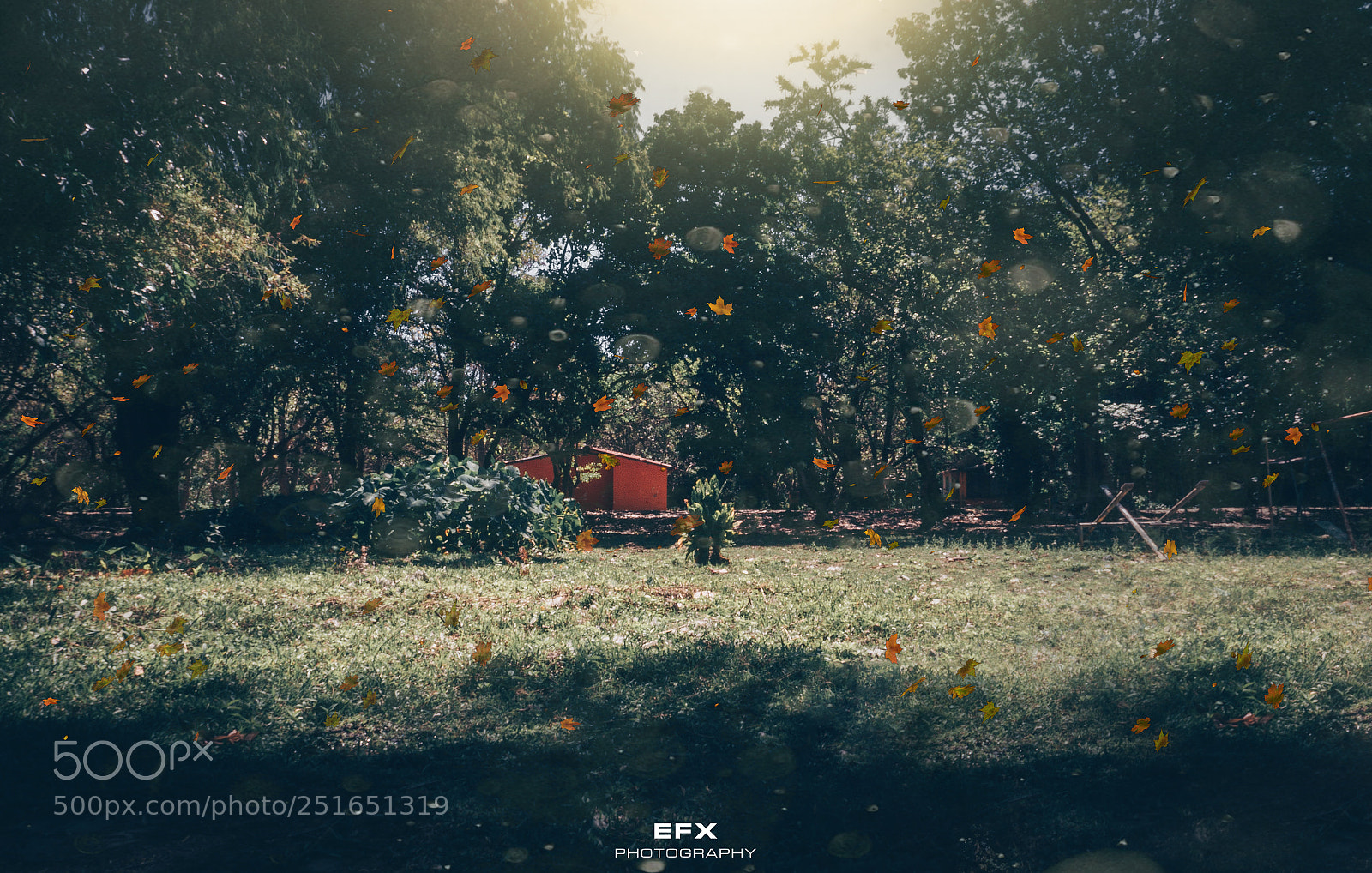 Sony Alpha a3500 sample photo. Fantasy photography