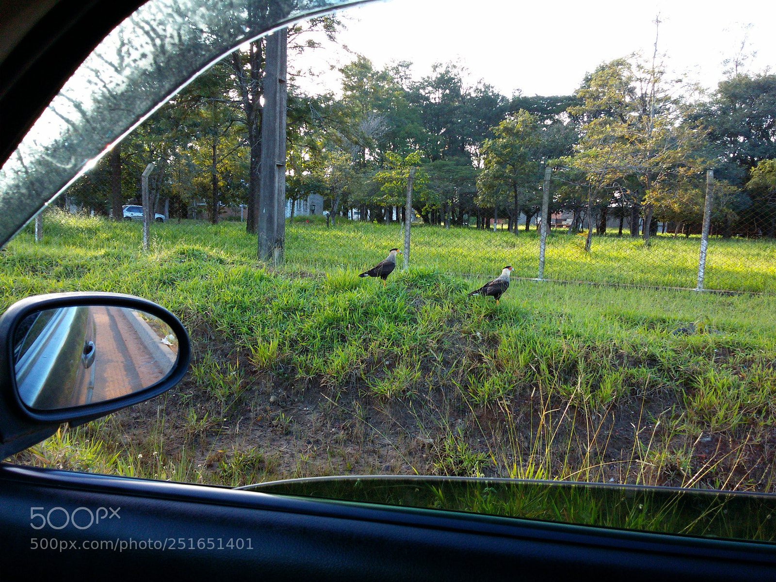 Samsung Galaxy S5 Mini sample photo. Untitled photography
