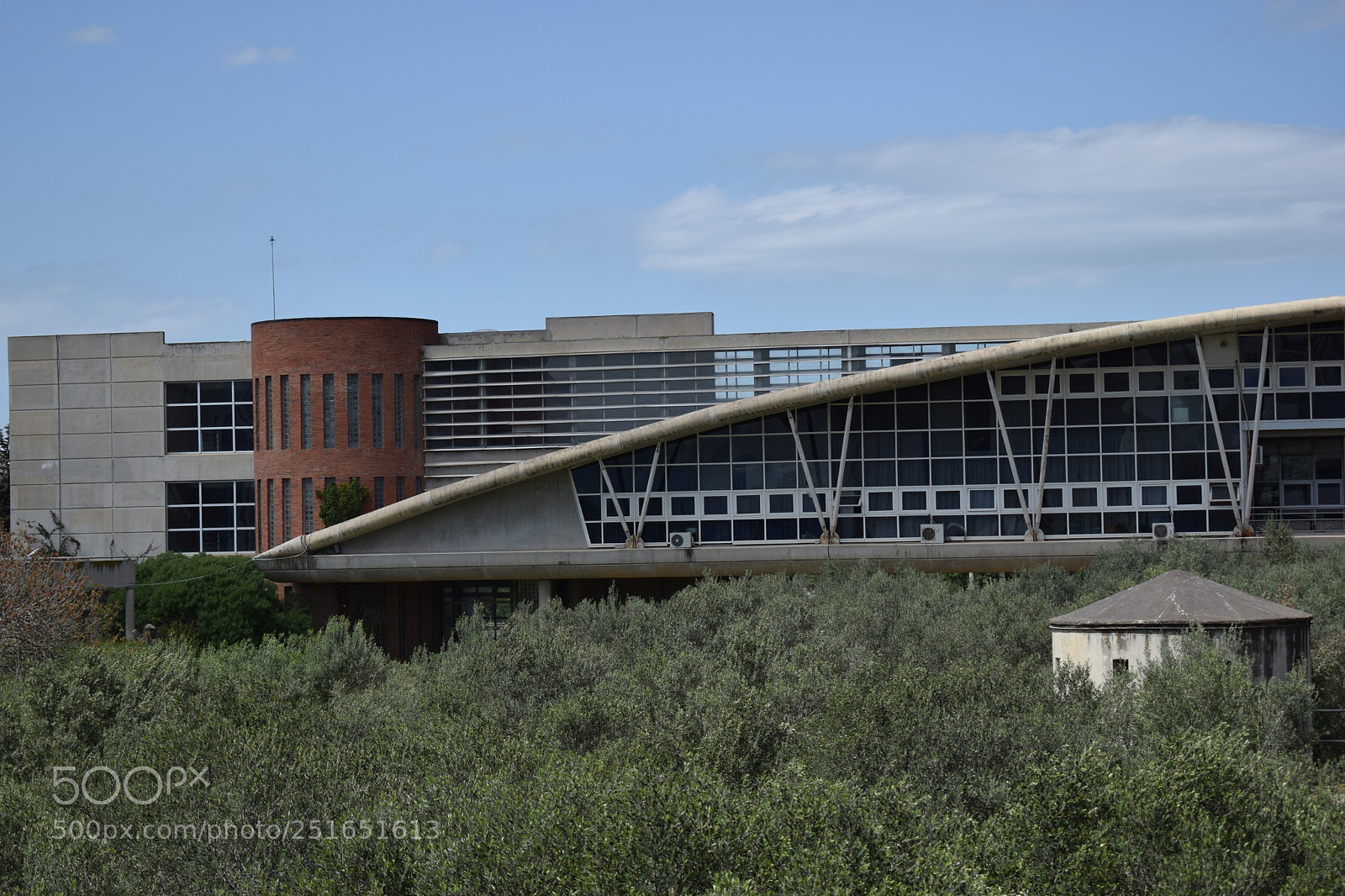 Nikon D5300 sample photo. Insat photography
