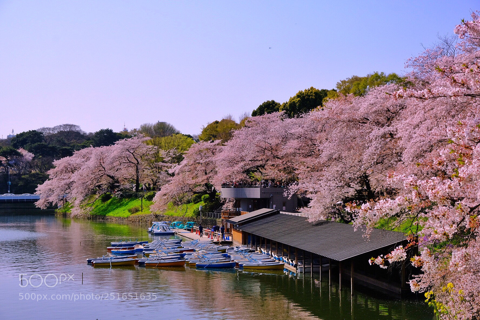 Fujifilm X-T20 sample photo. Boat house photography