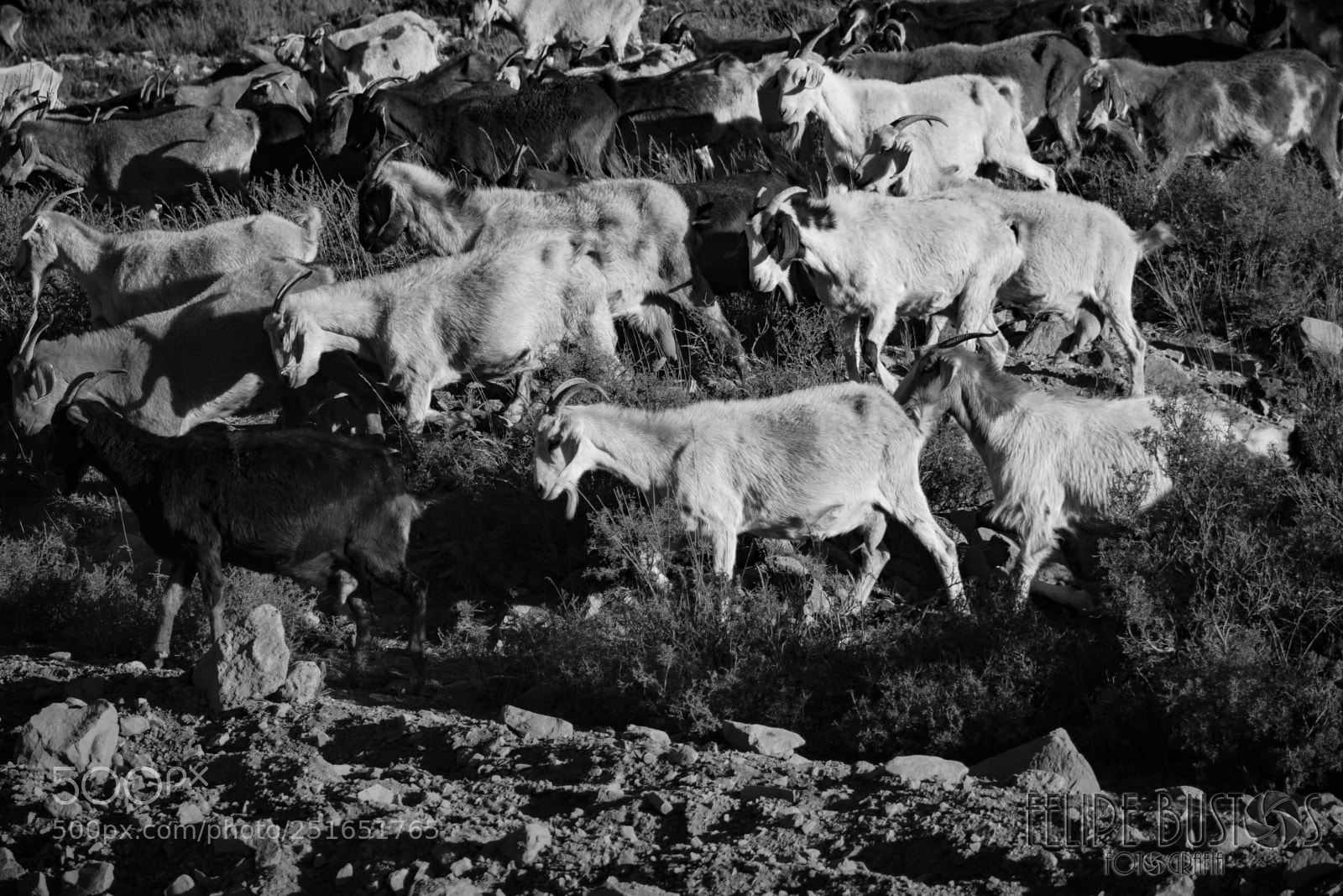 Canon EOS 600D (Rebel EOS T3i / EOS Kiss X5) sample photo. Embalse el yeso, chile photography