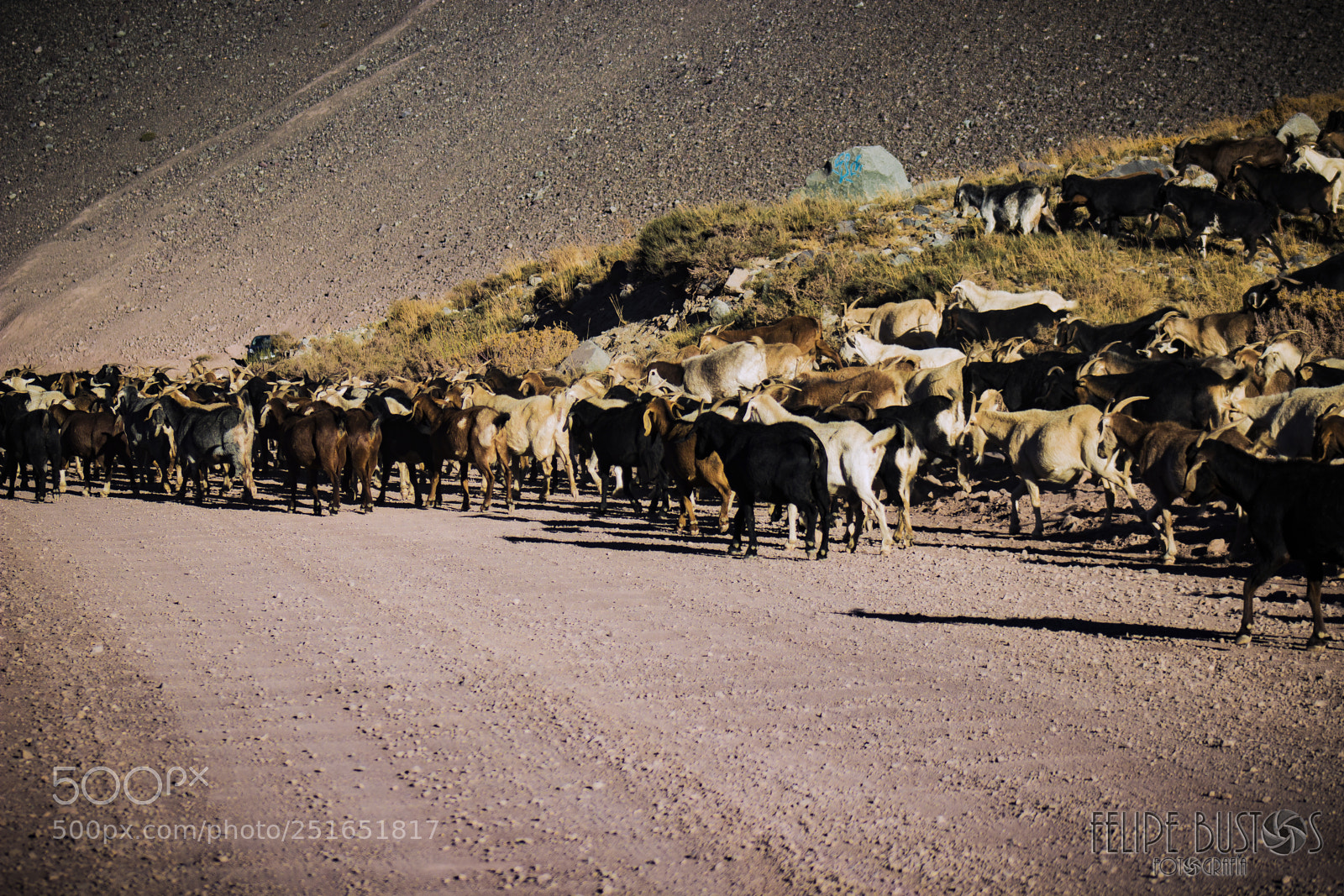 Canon EOS 600D (Rebel EOS T3i / EOS Kiss X5) sample photo. Embalse el yeso, chile photography
