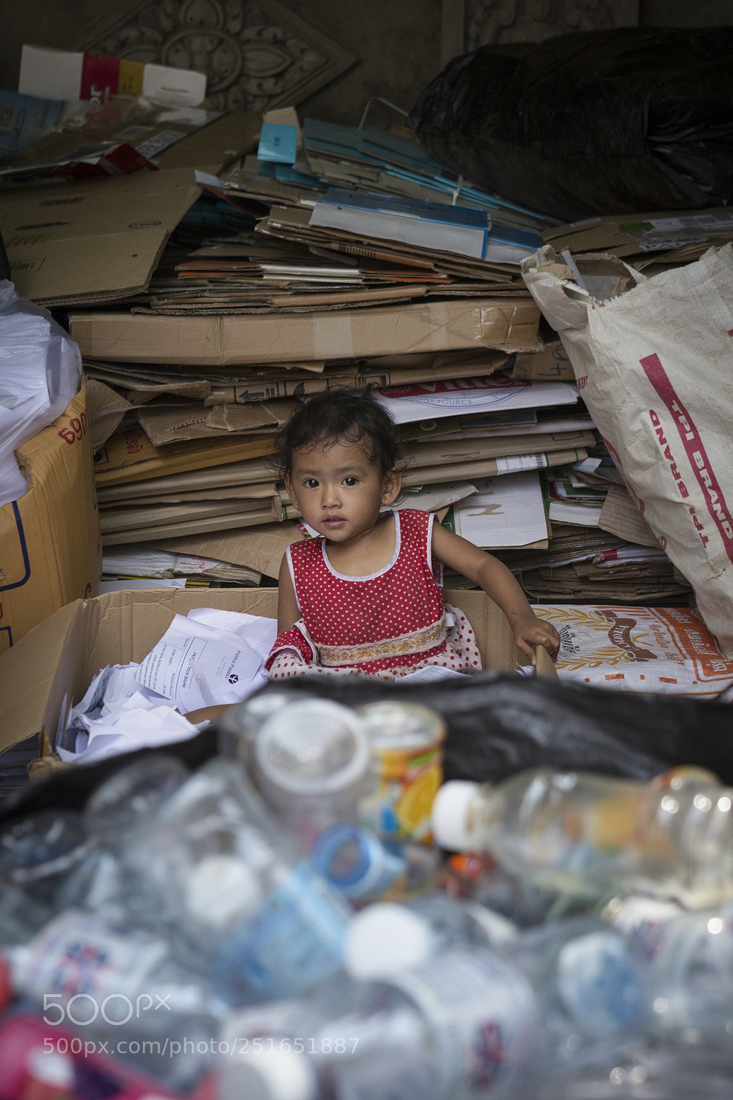 Canon EOS 600D (Rebel EOS T3i / EOS Kiss X5) sample photo. Girl of the paperboards photography