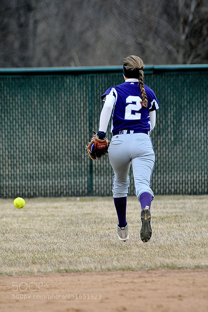 Nikon D500 sample photo. 3-26_0596.jpg photography