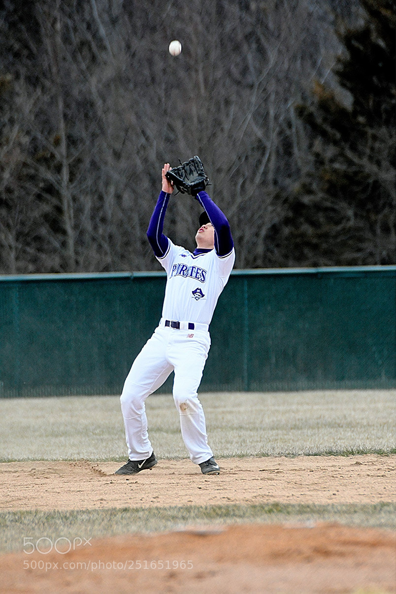 Nikon D500 sample photo. 3-26_0084.jpg photography