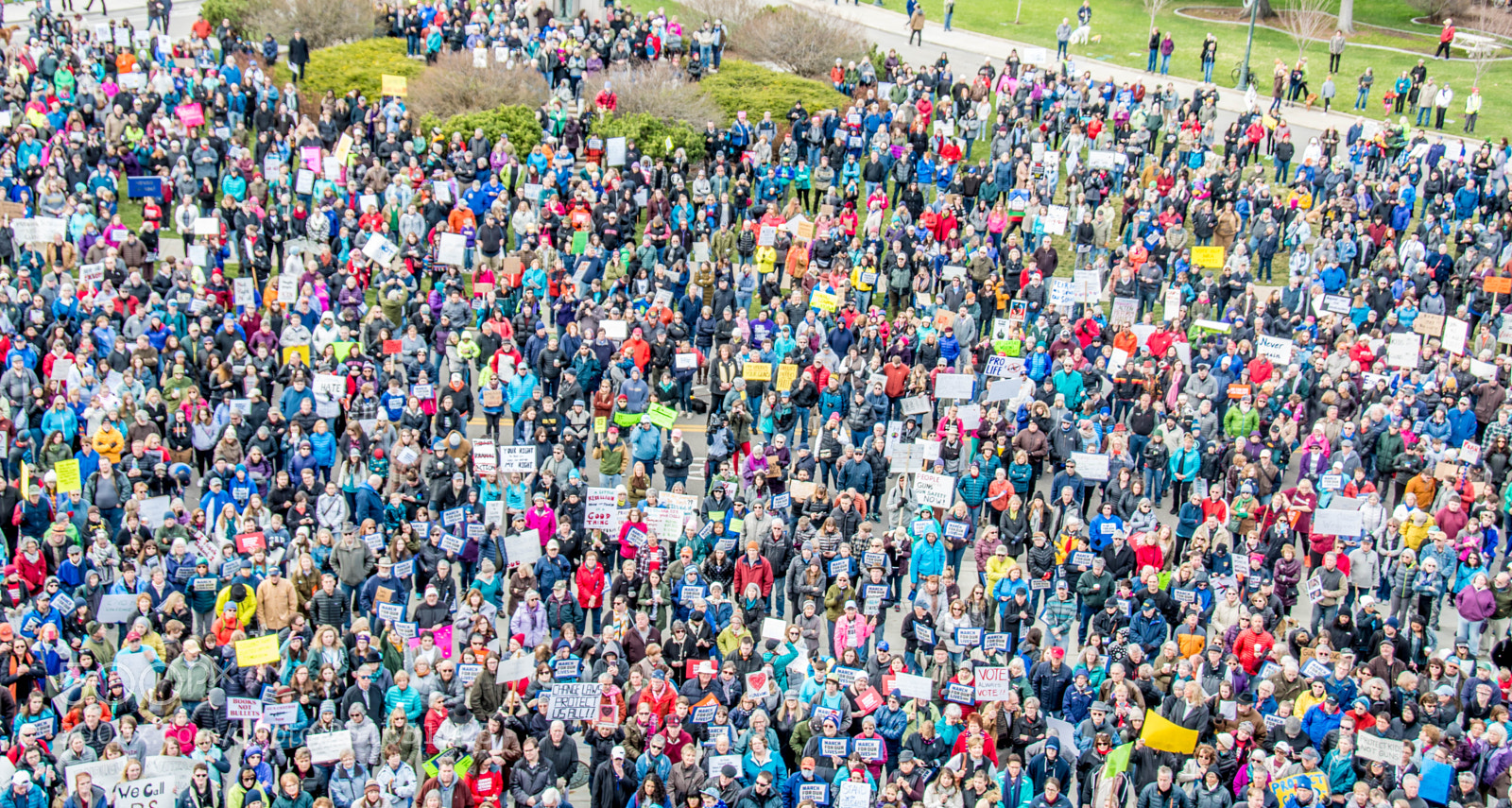 Nikon D500 sample photo. March for our lives photography