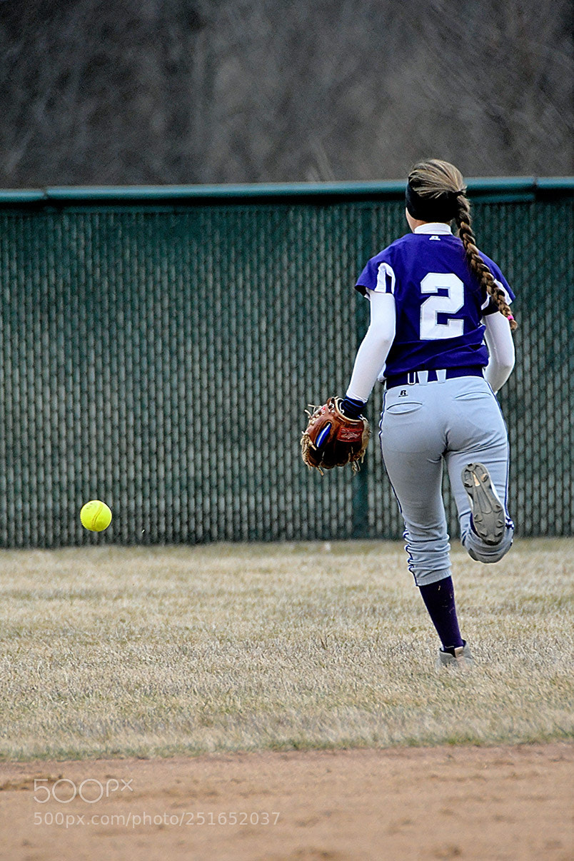 Nikon D500 sample photo. 3-26_0597.jpg photography