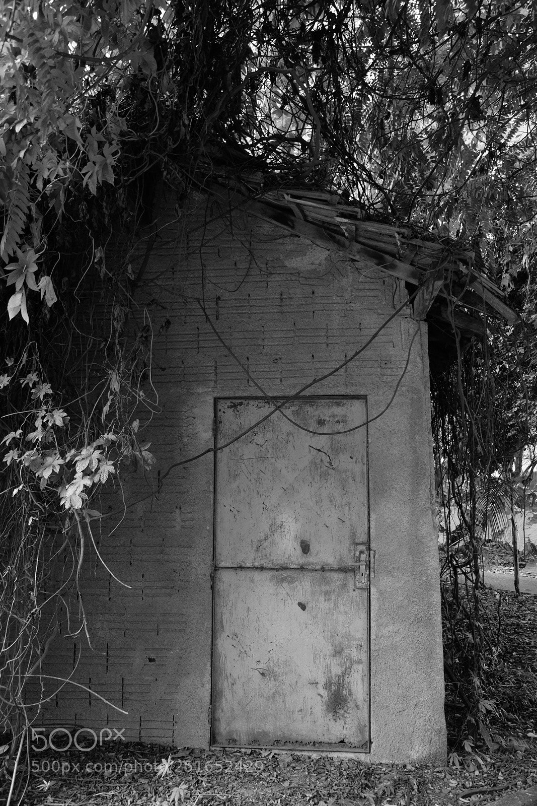 Fujifilm X-T20 sample photo. The lost house! photography