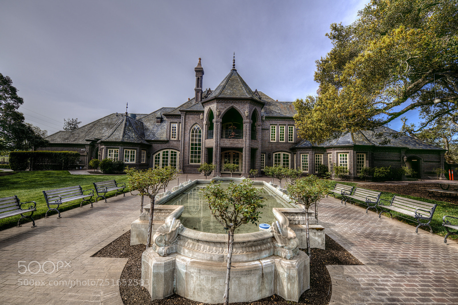 Nikon D850 sample photo. Ledson winery photography