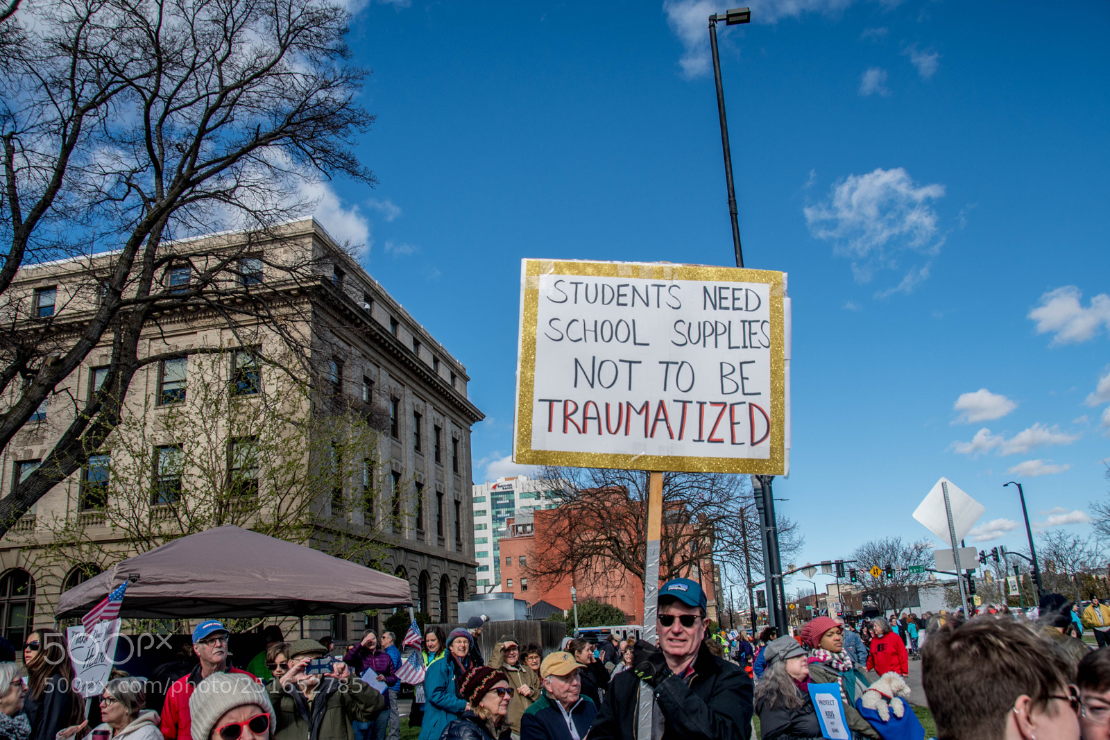 Nikon D500 sample photo. March for our lives photography