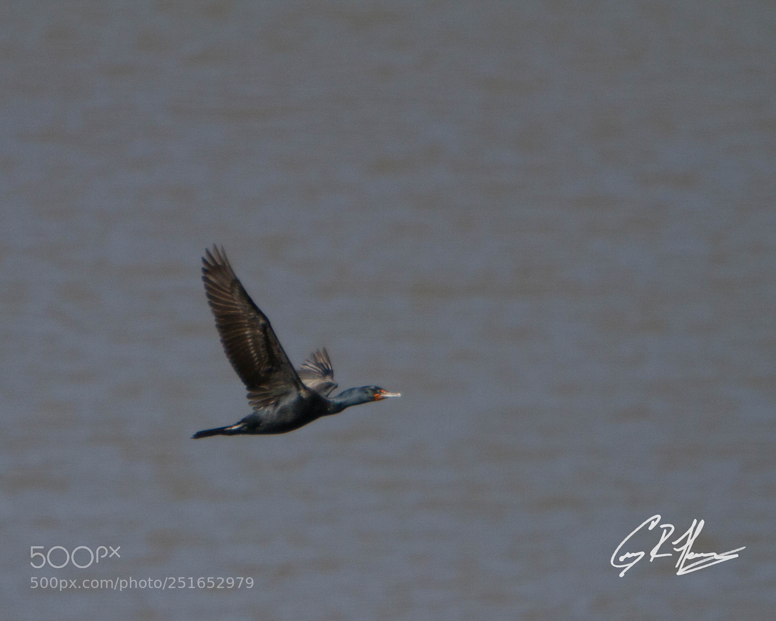 Canon EOS 7D sample photo. Untitled photography