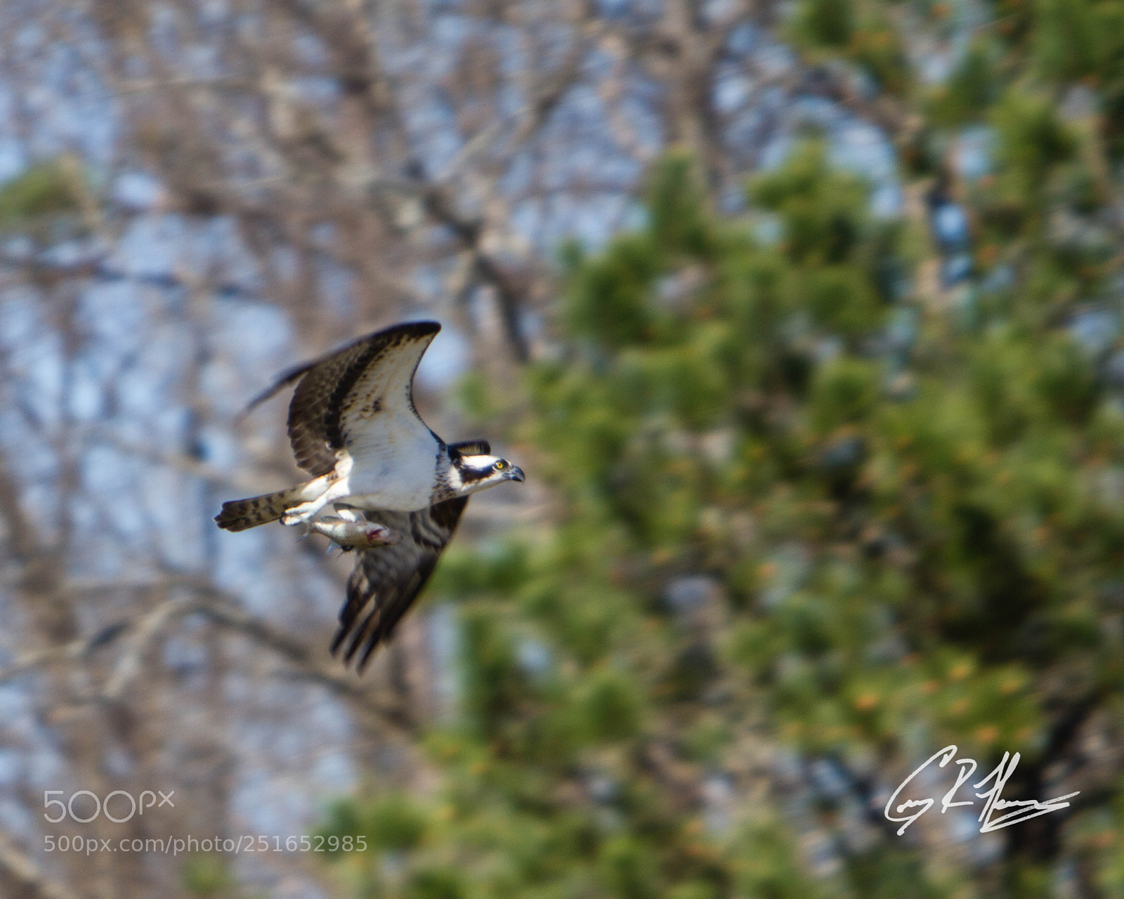 Canon EOS 7D sample photo. Untitled photography