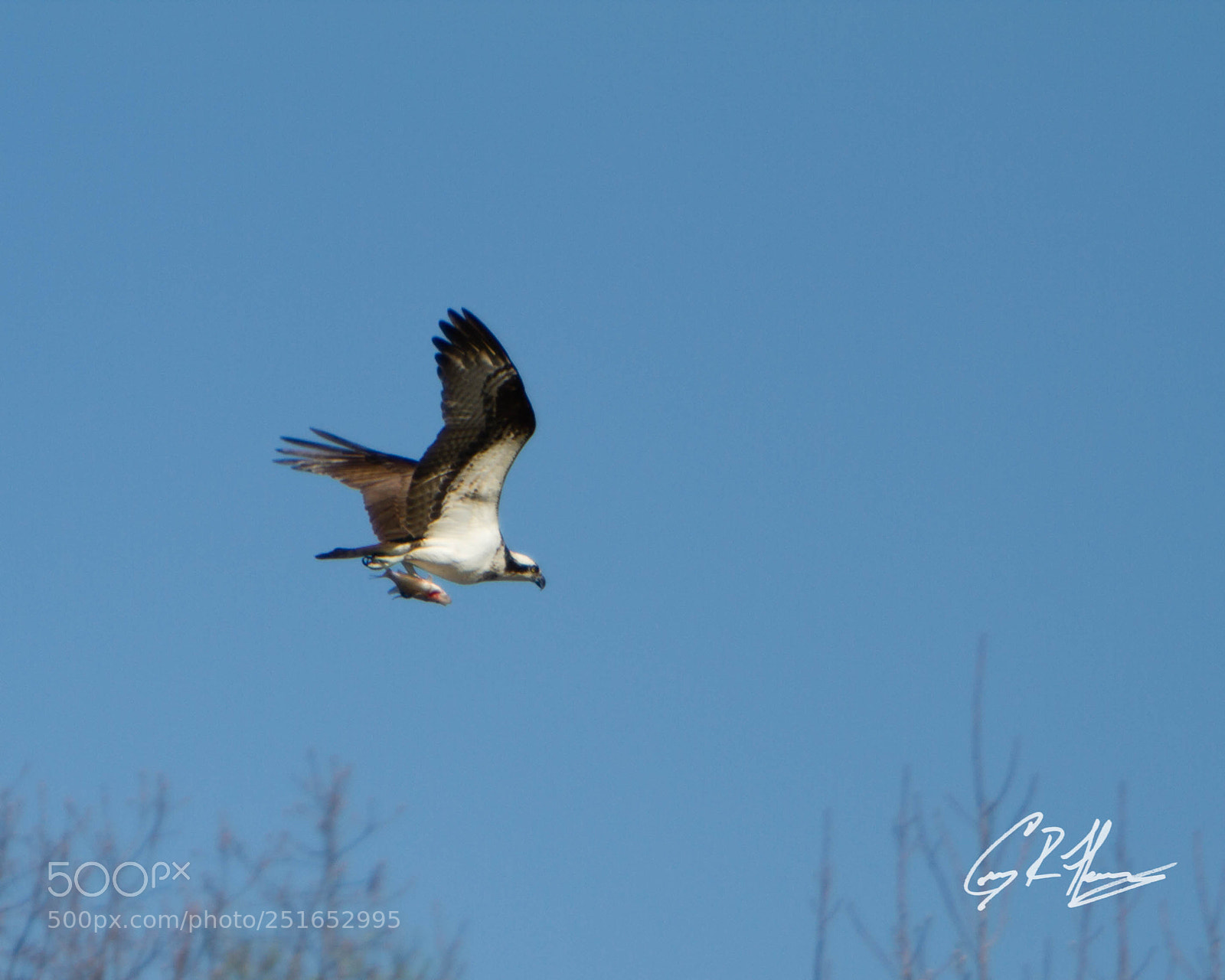 Canon EOS 7D sample photo. Untitled photography