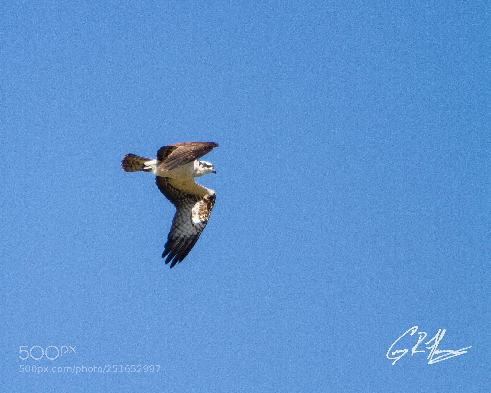 Canon EOS 7D sample photo. Untitled photography