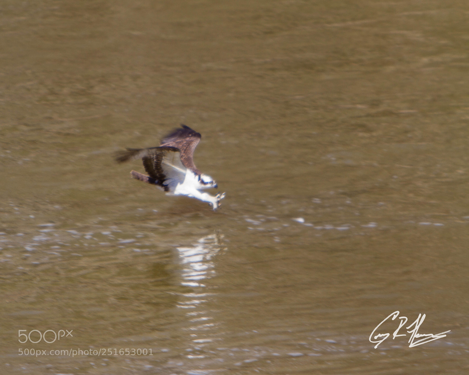 Canon EOS 7D sample photo. Untitled photography