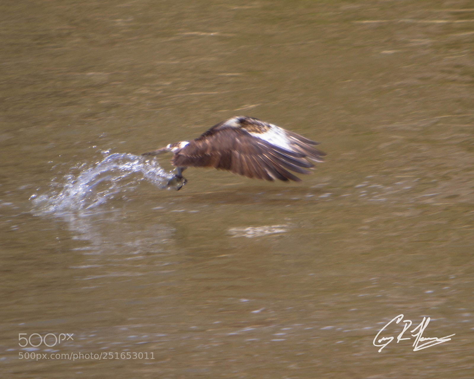 Canon EOS 7D sample photo. Untitled photography