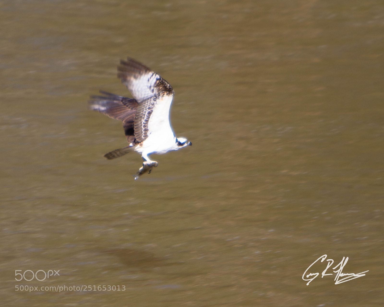 Canon EOS 7D sample photo. Untitled photography
