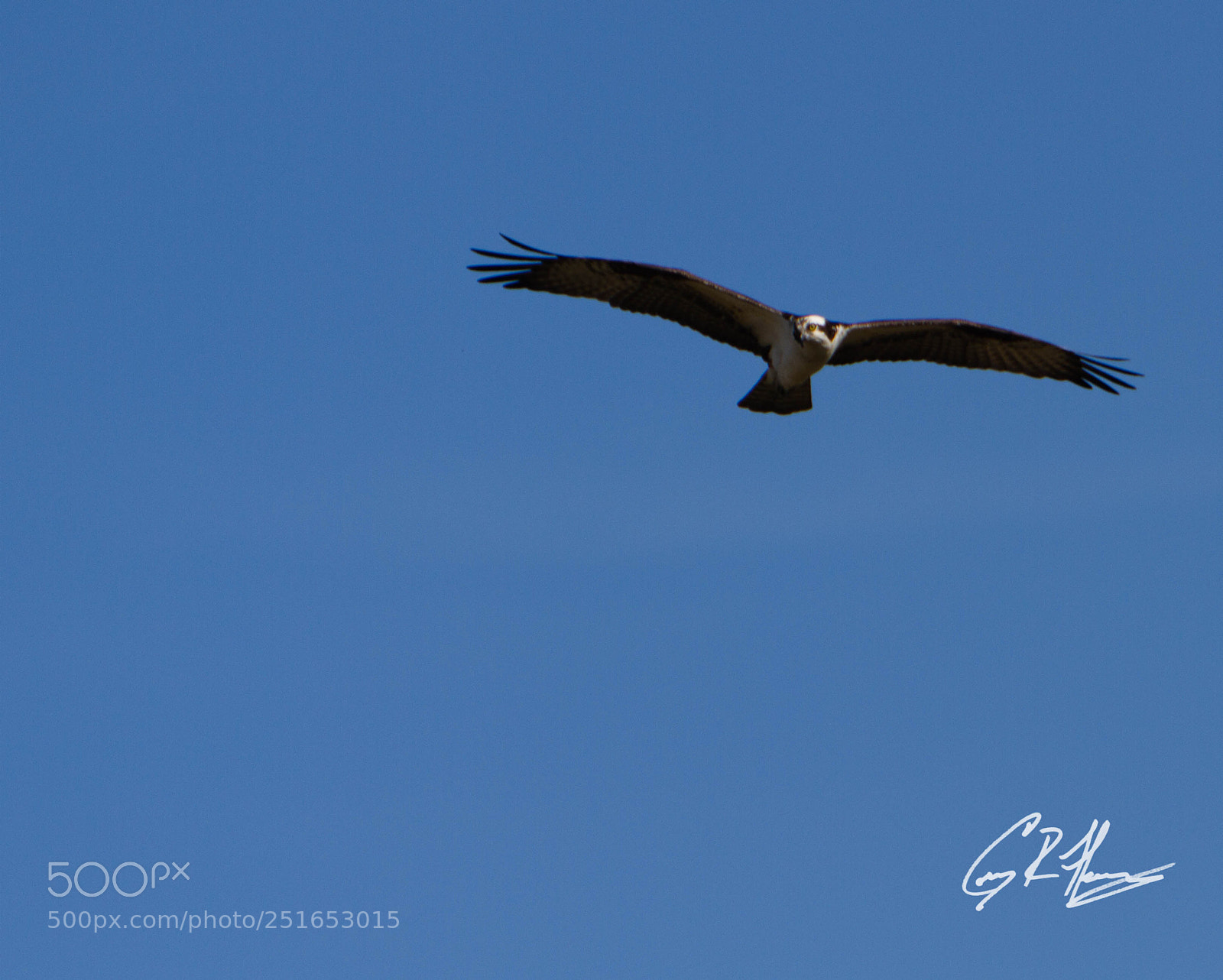 Canon EOS 7D sample photo. Untitled photography