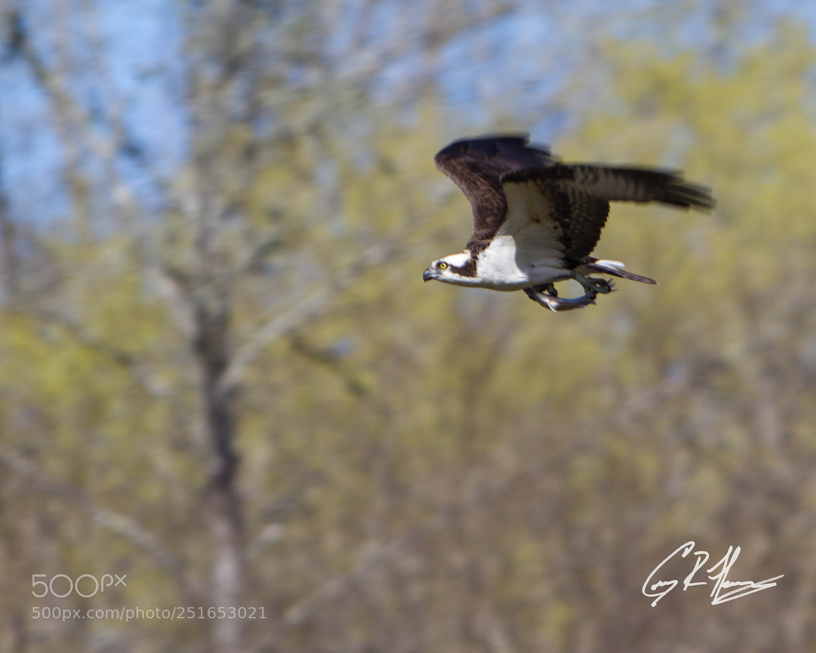 Canon EOS 7D sample photo. Untitled photography