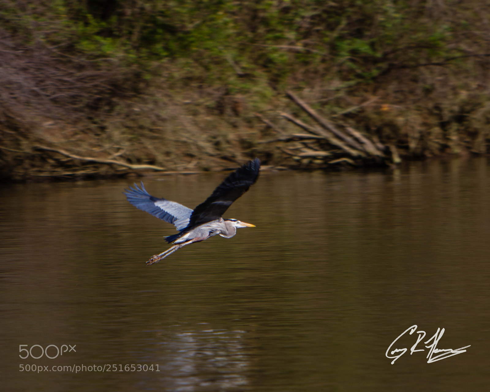 Canon EOS 7D sample photo. Untitled photography