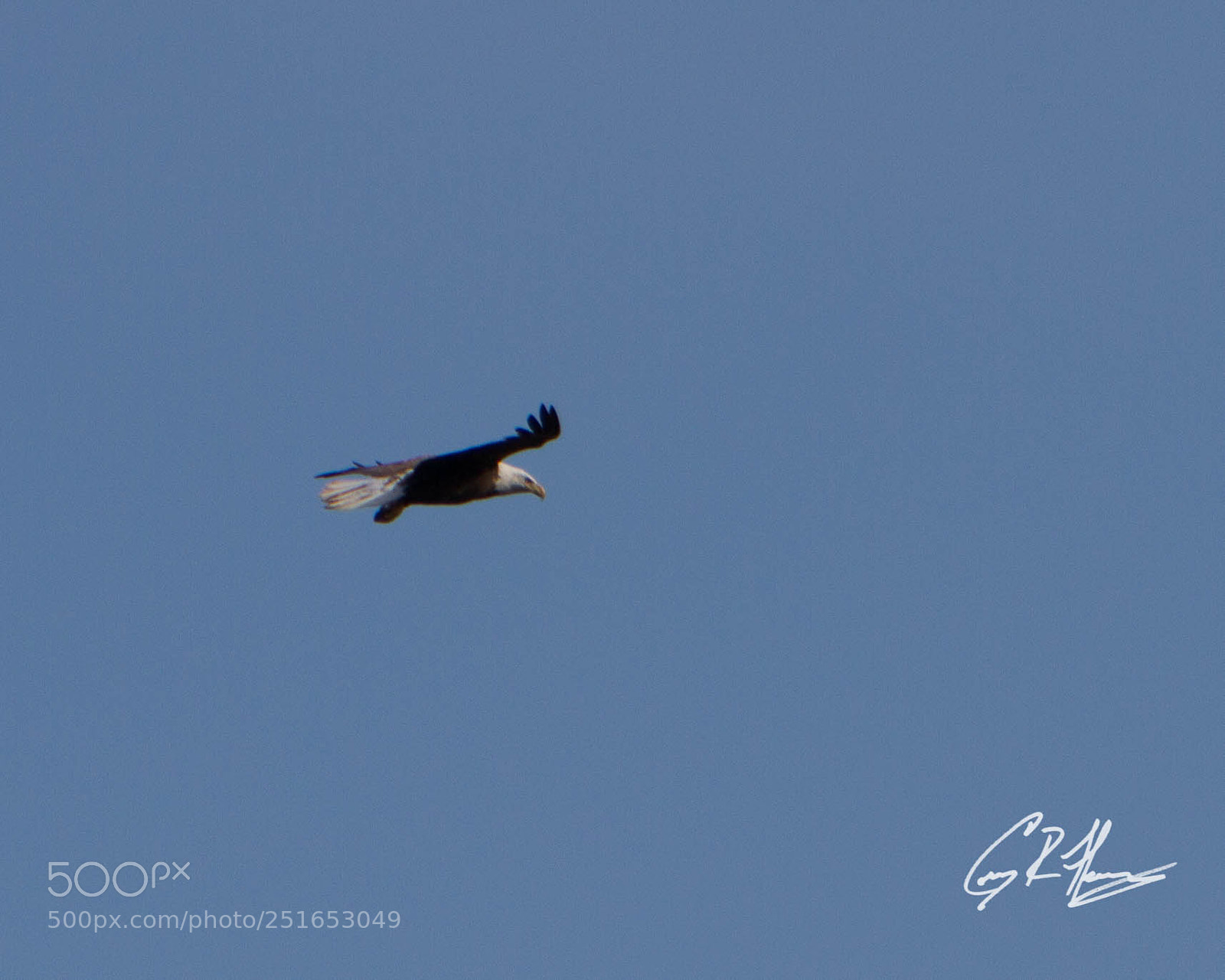 Canon EOS 7D sample photo. Untitled photography