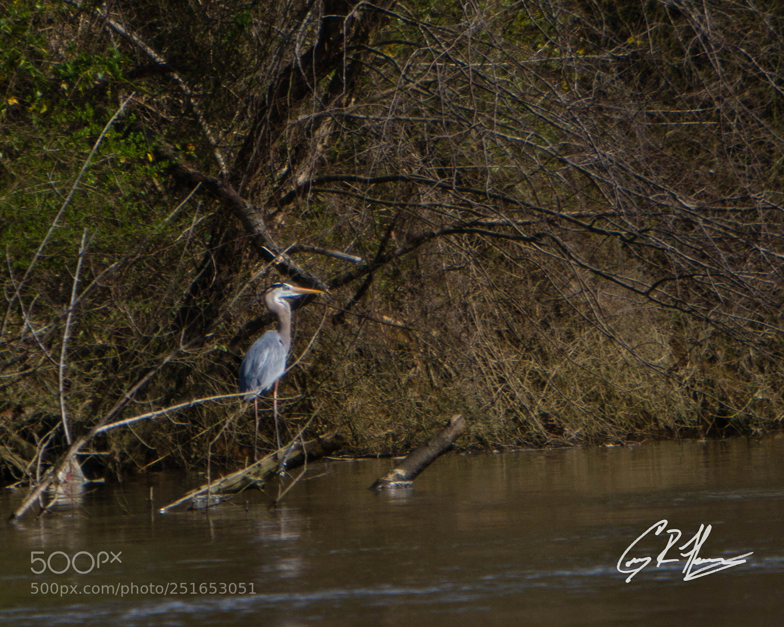 Canon EOS 7D sample photo. Untitled photography