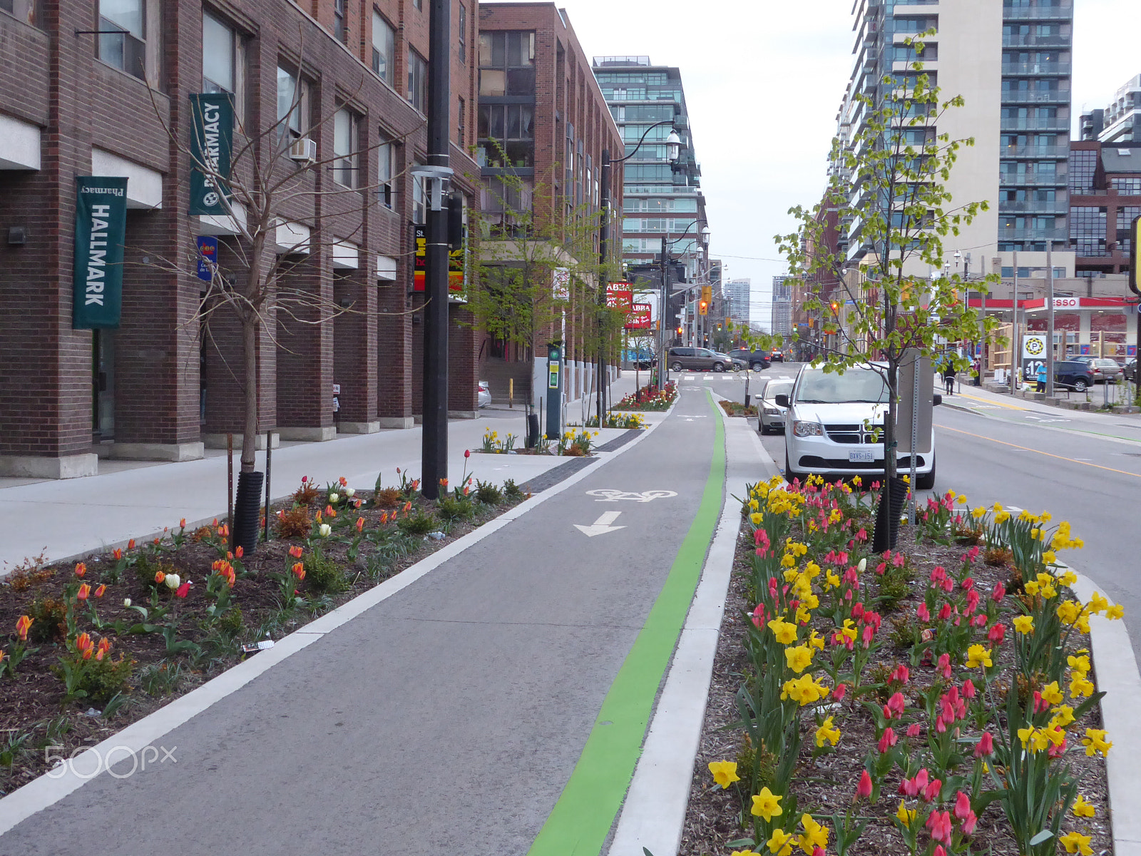 Panasonic Lumix DMC-ZS50 (Lumix DMC-TZ70) sample photo. Flowery bike lane photography