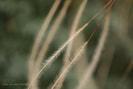 Canon EOS 50D sample photo. Img photography