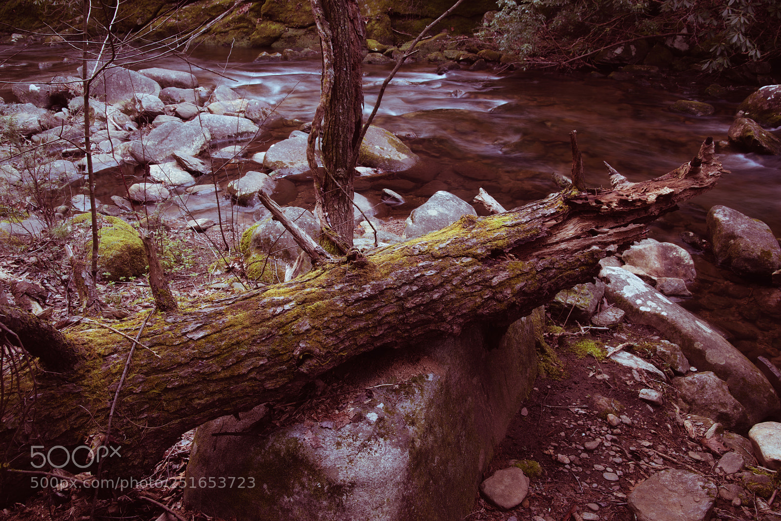 Pentax K-1 sample photo. Log on river photography