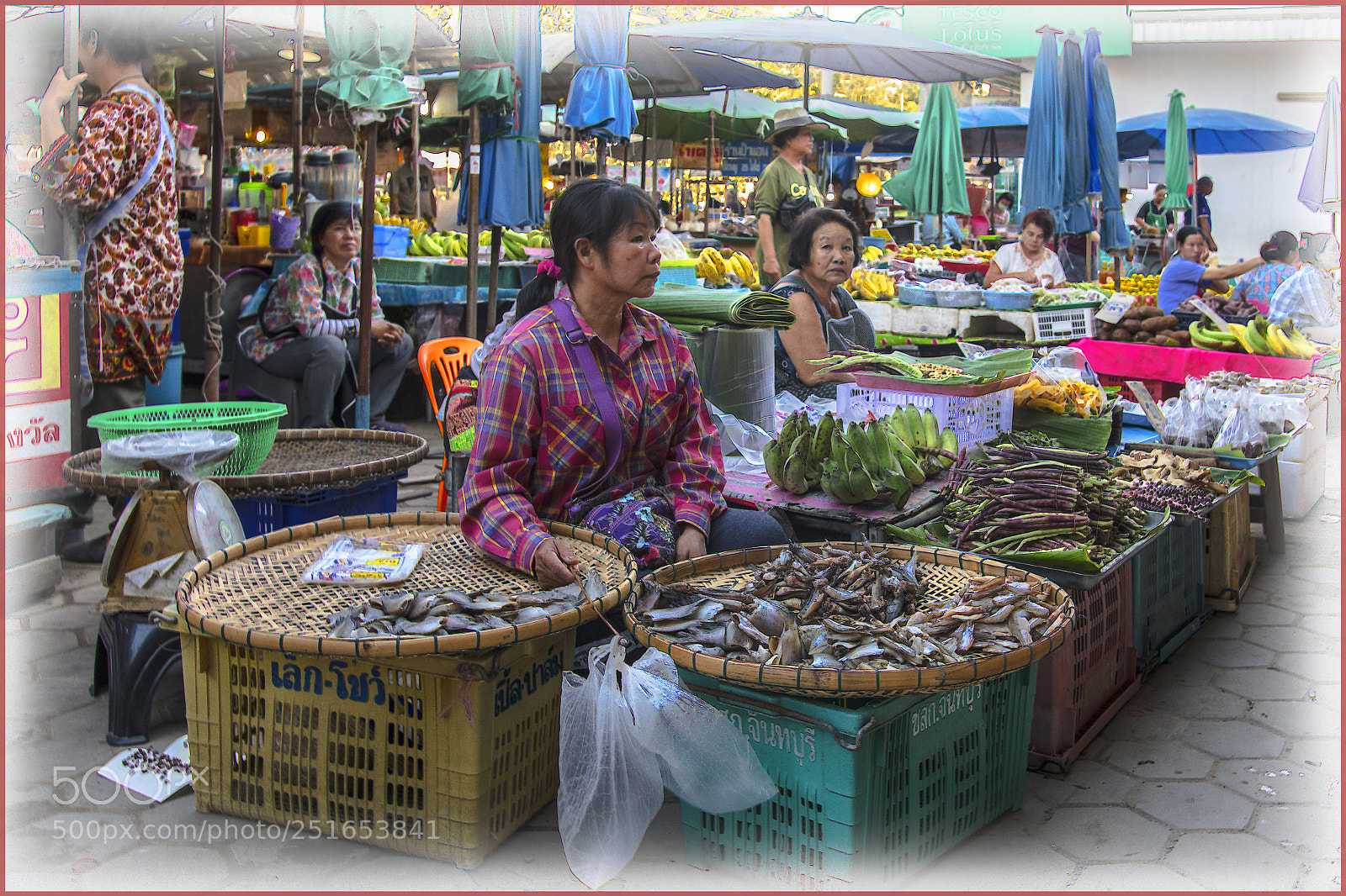 Nikon D850 sample photo. Market photography