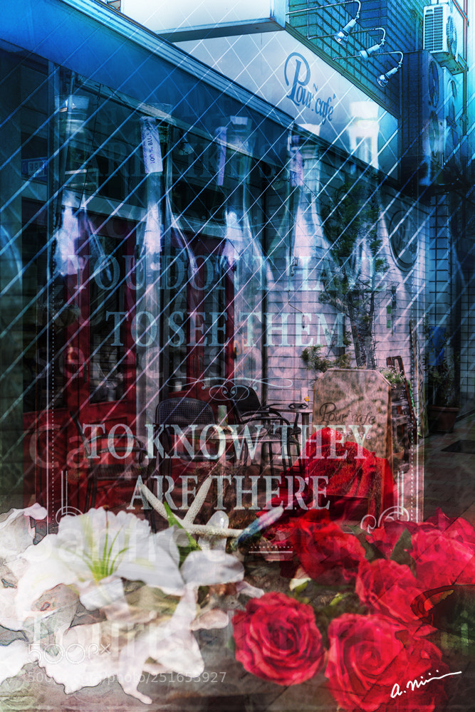 Canon EOS 5D Mark II sample photo. Bottles & flowers photography