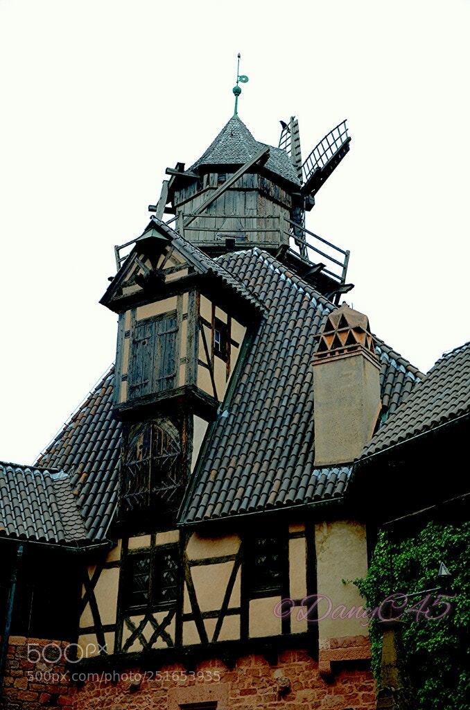 Nikon D5100 sample photo. Alsace (26) photography