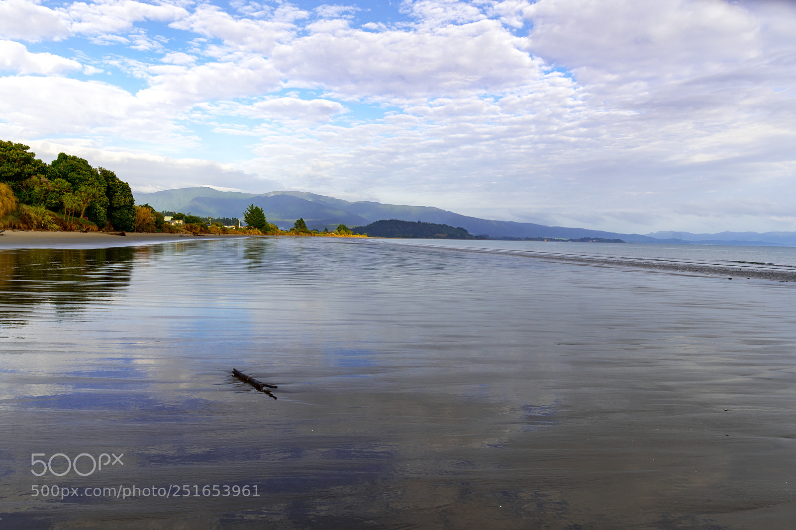 Sony a7R II sample photo. Lonely log on pohara photography