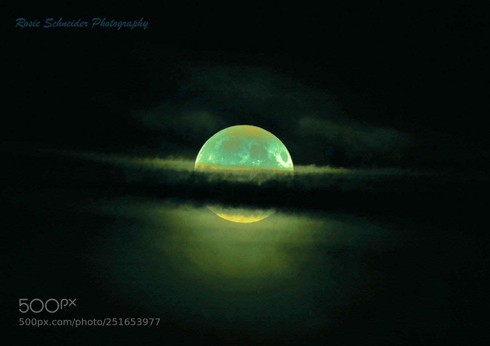 Nikon D7100 sample photo. Blue moon photography