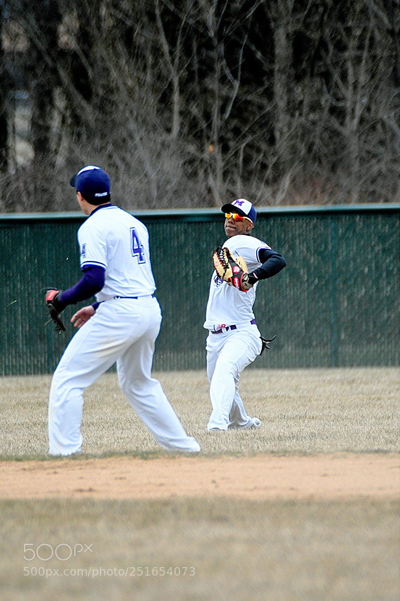 Nikon D500 sample photo. 3-26_0132.jpg photography