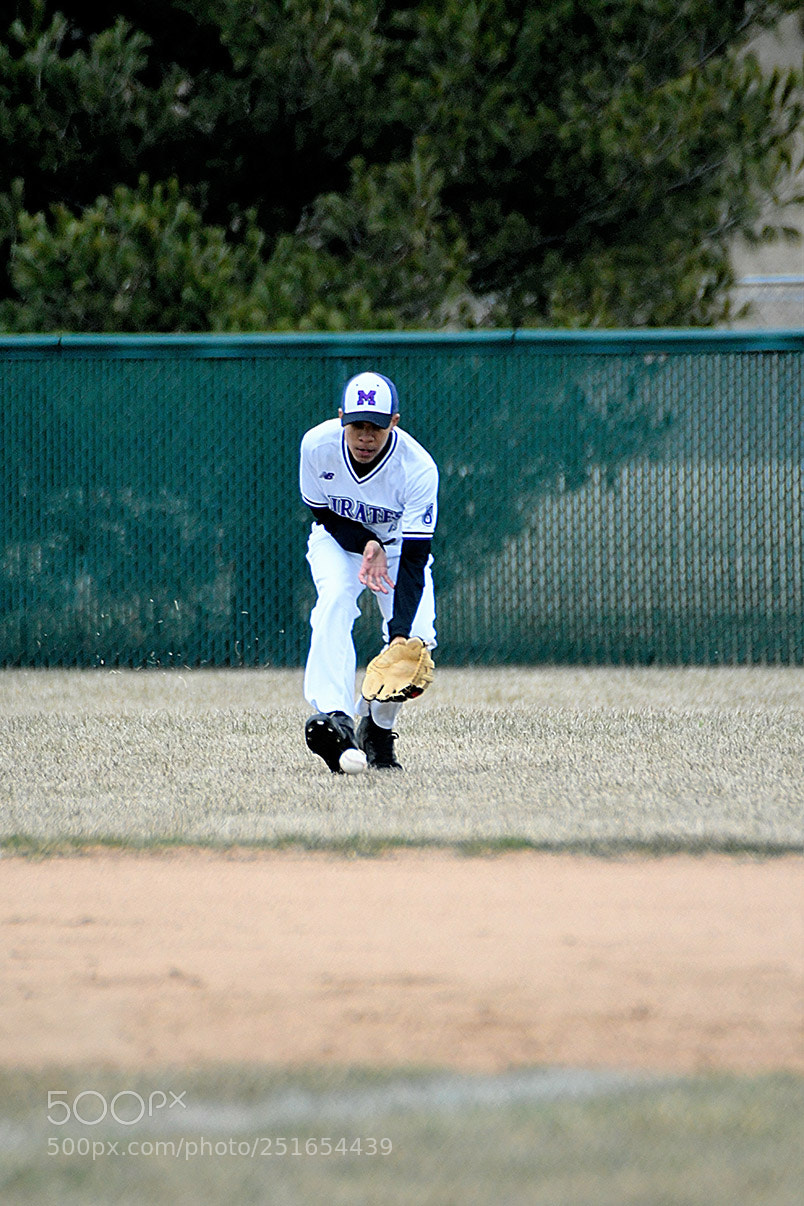 Nikon D500 sample photo. 3-26_0145.jpg photography