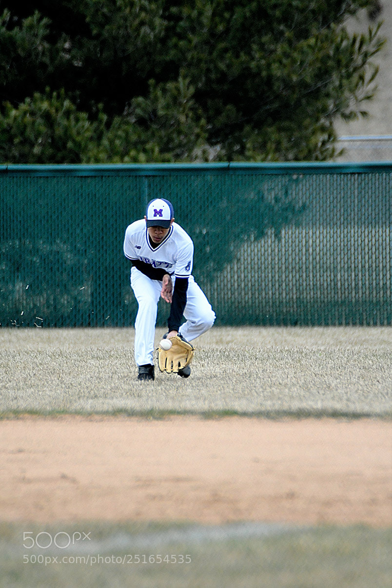 Nikon D500 sample photo. 3-26_0146.jpg photography