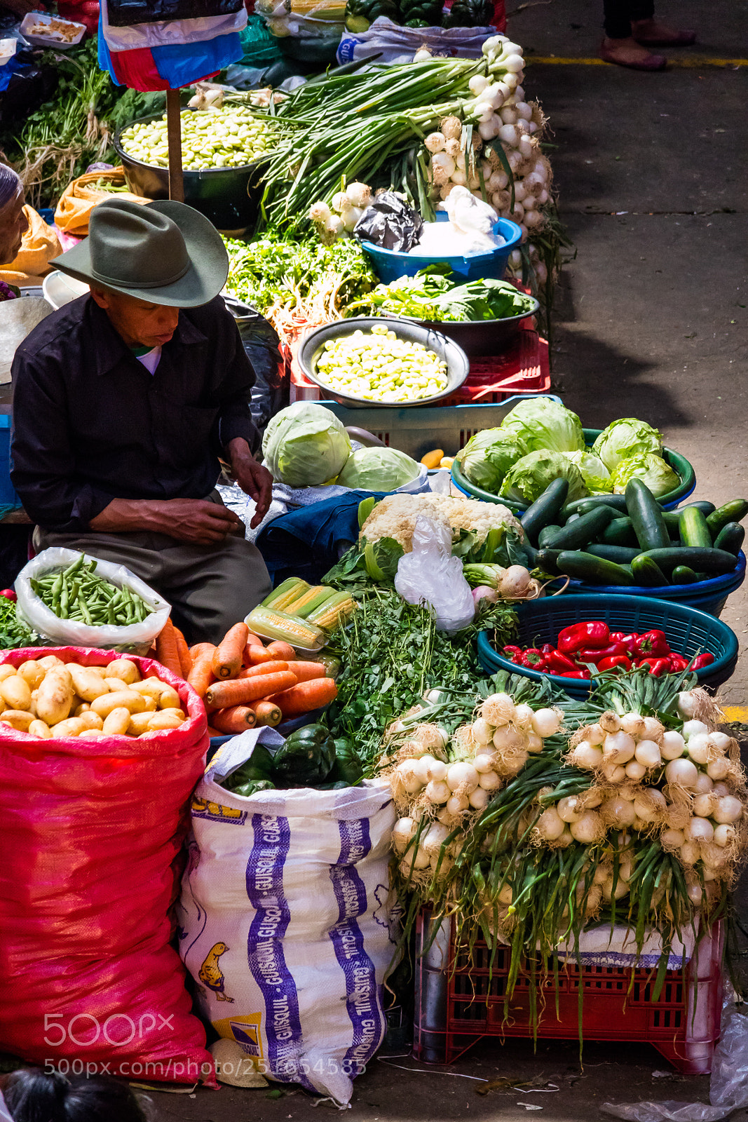 Canon EOS M3 sample photo. Veggies photography