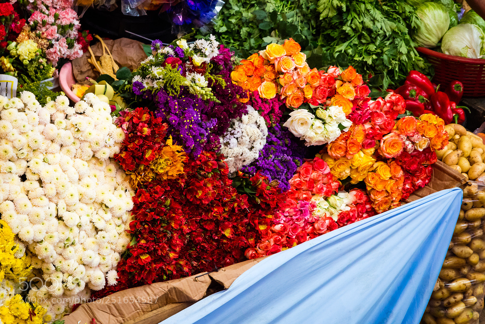 Canon EOS M3 sample photo. Flowers photography