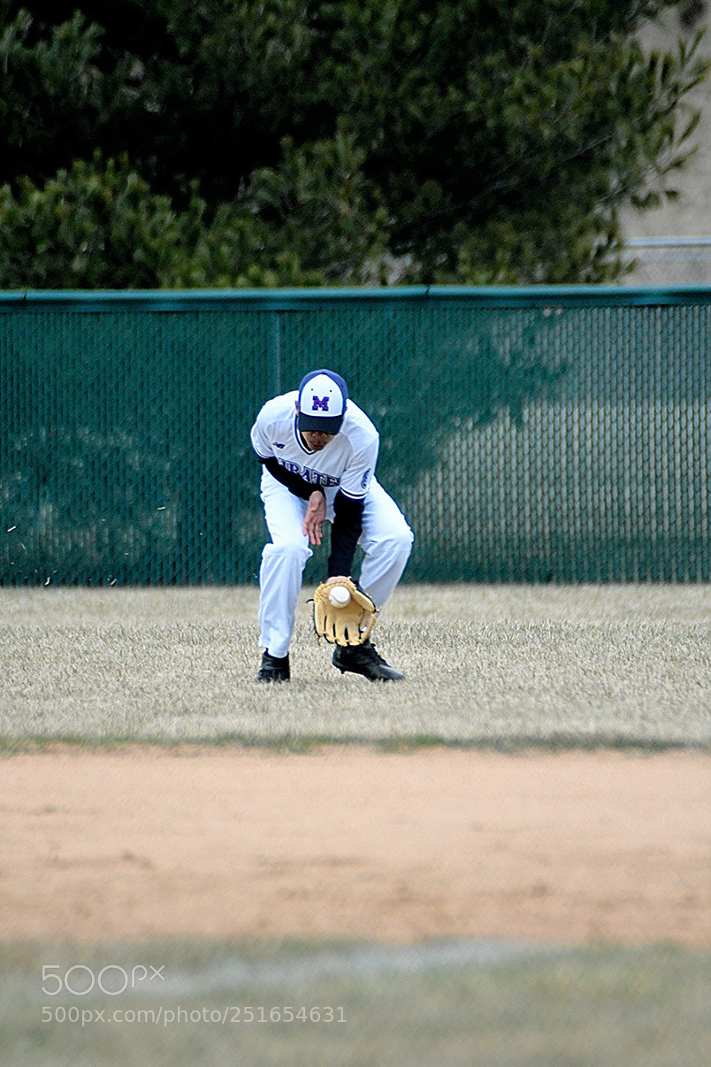Nikon D500 sample photo. 3-26_0147.jpg photography