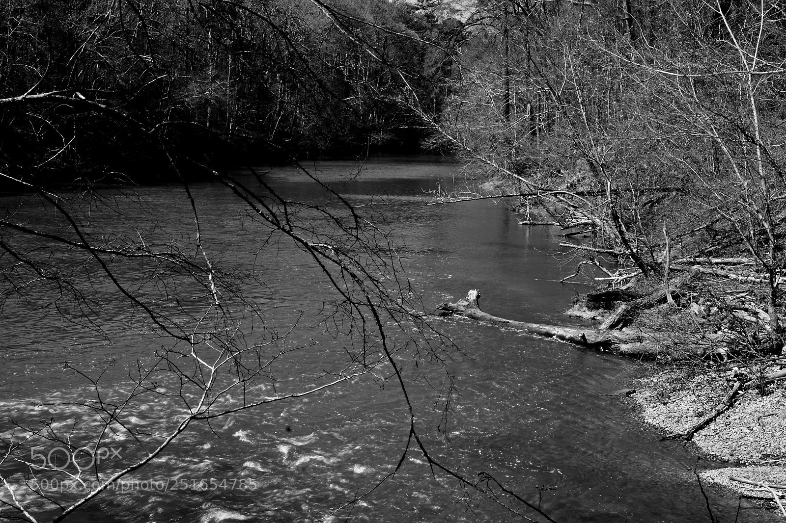 Nikon D7100 sample photo. A look down river photography