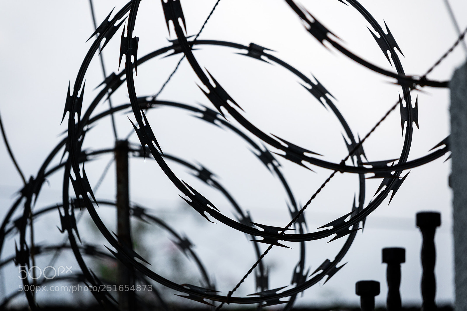 Canon EOS M3 sample photo. Razor wire photography