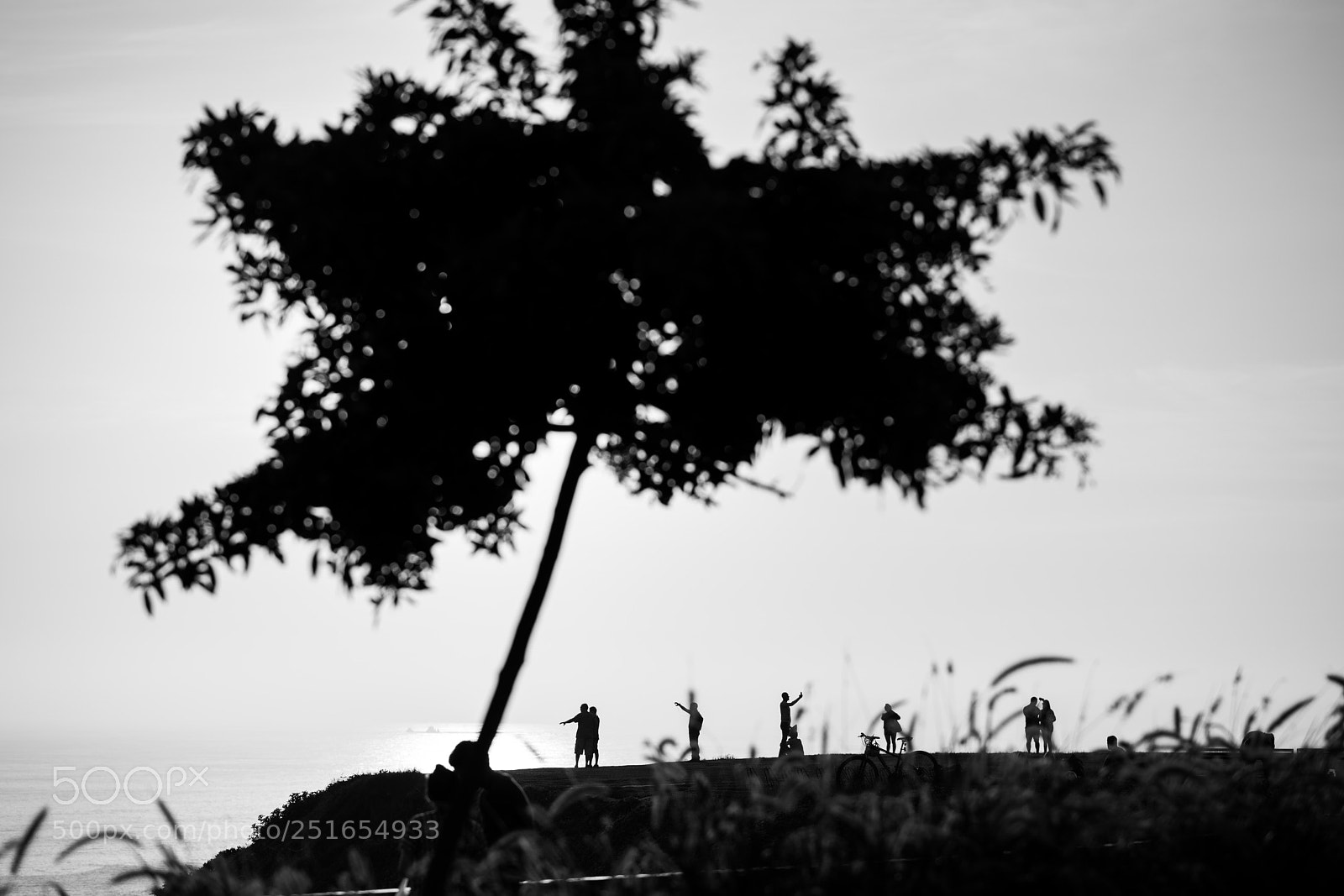 Nikon D810 sample photo. Human ants photography