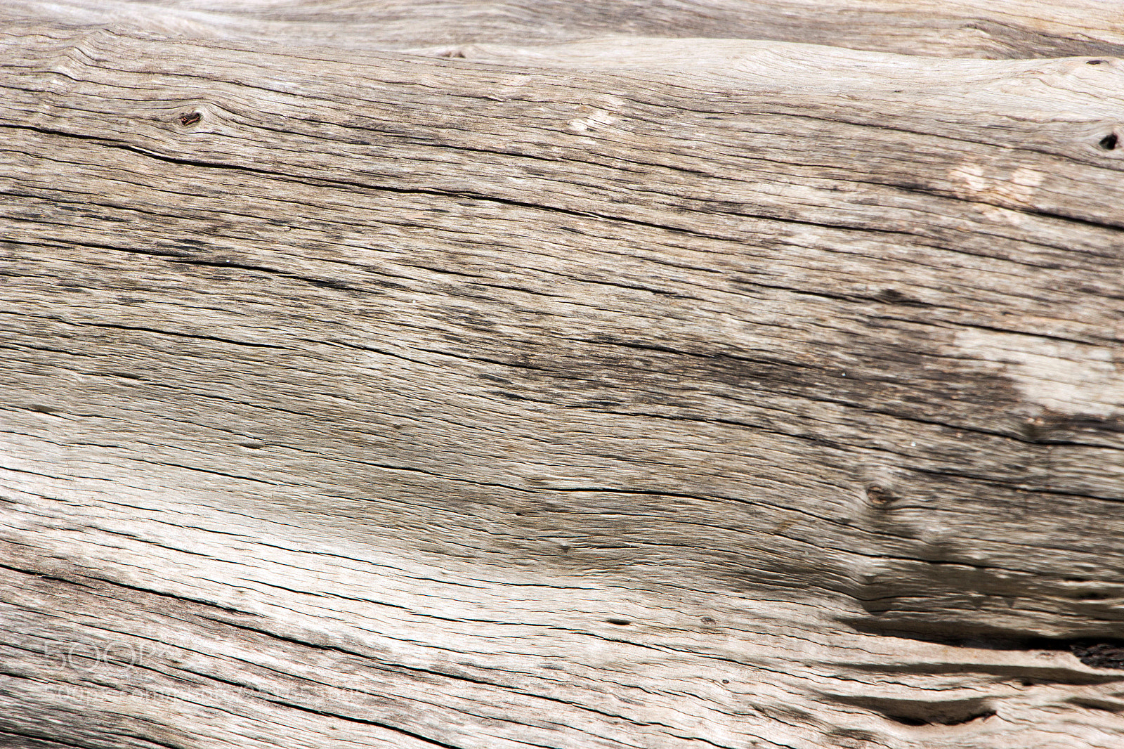 Canon EOS 700D (EOS Rebel T5i / EOS Kiss X7i) sample photo. The pattern of the photography