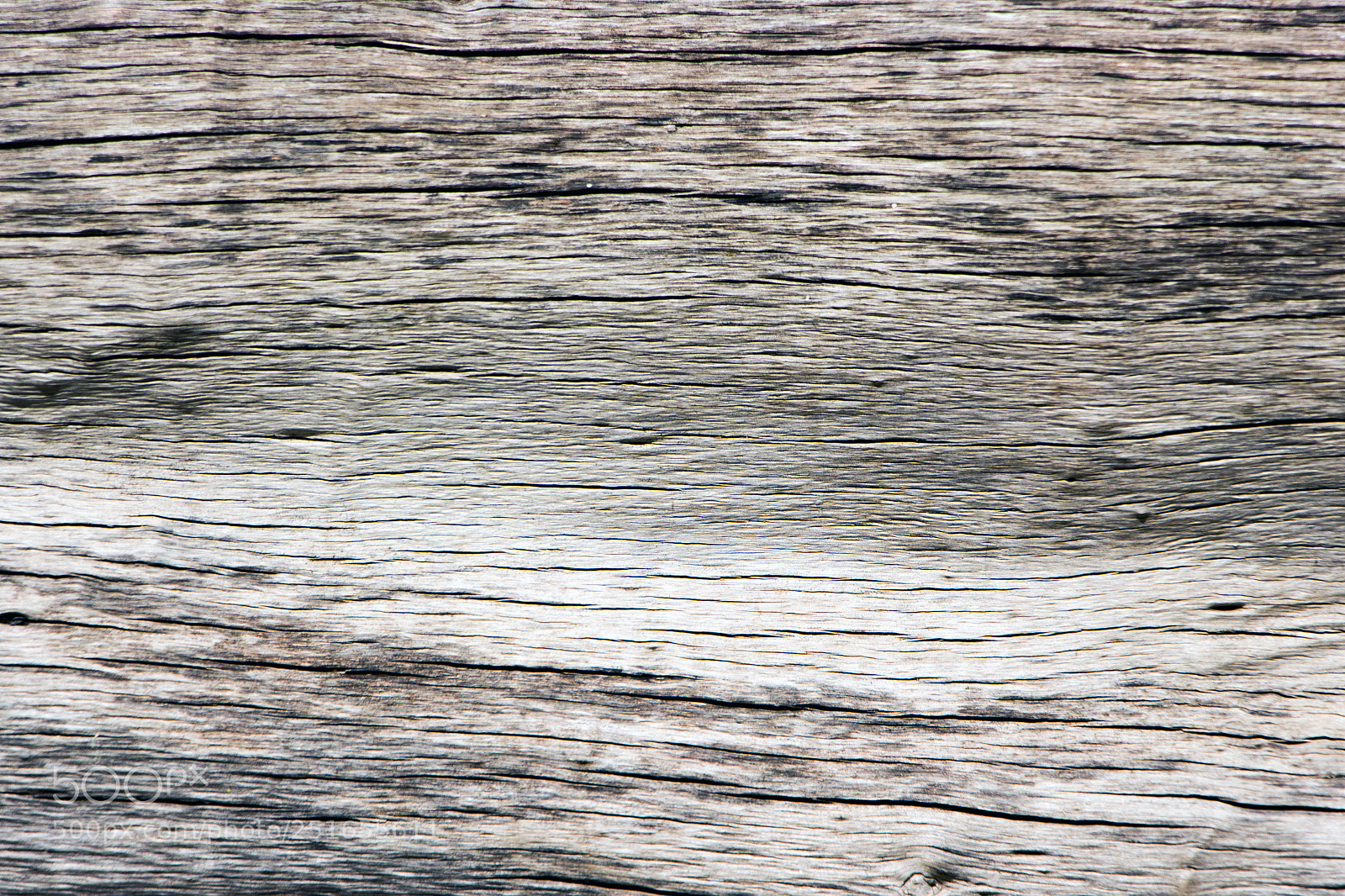 Canon EOS 700D (EOS Rebel T5i / EOS Kiss X7i) sample photo. The pattern of the photography