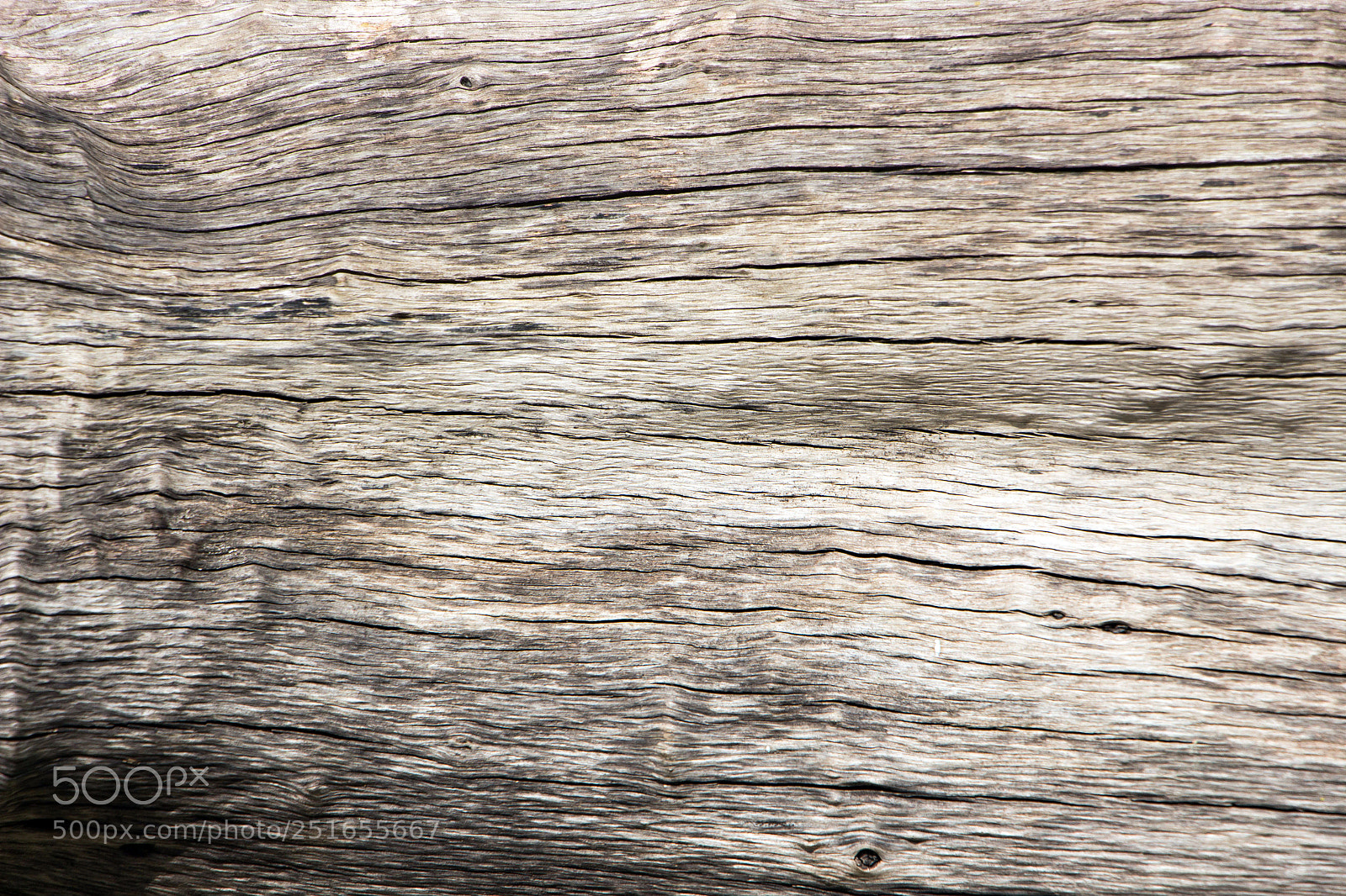Canon EOS 700D (EOS Rebel T5i / EOS Kiss X7i) sample photo. The pattern of the photography