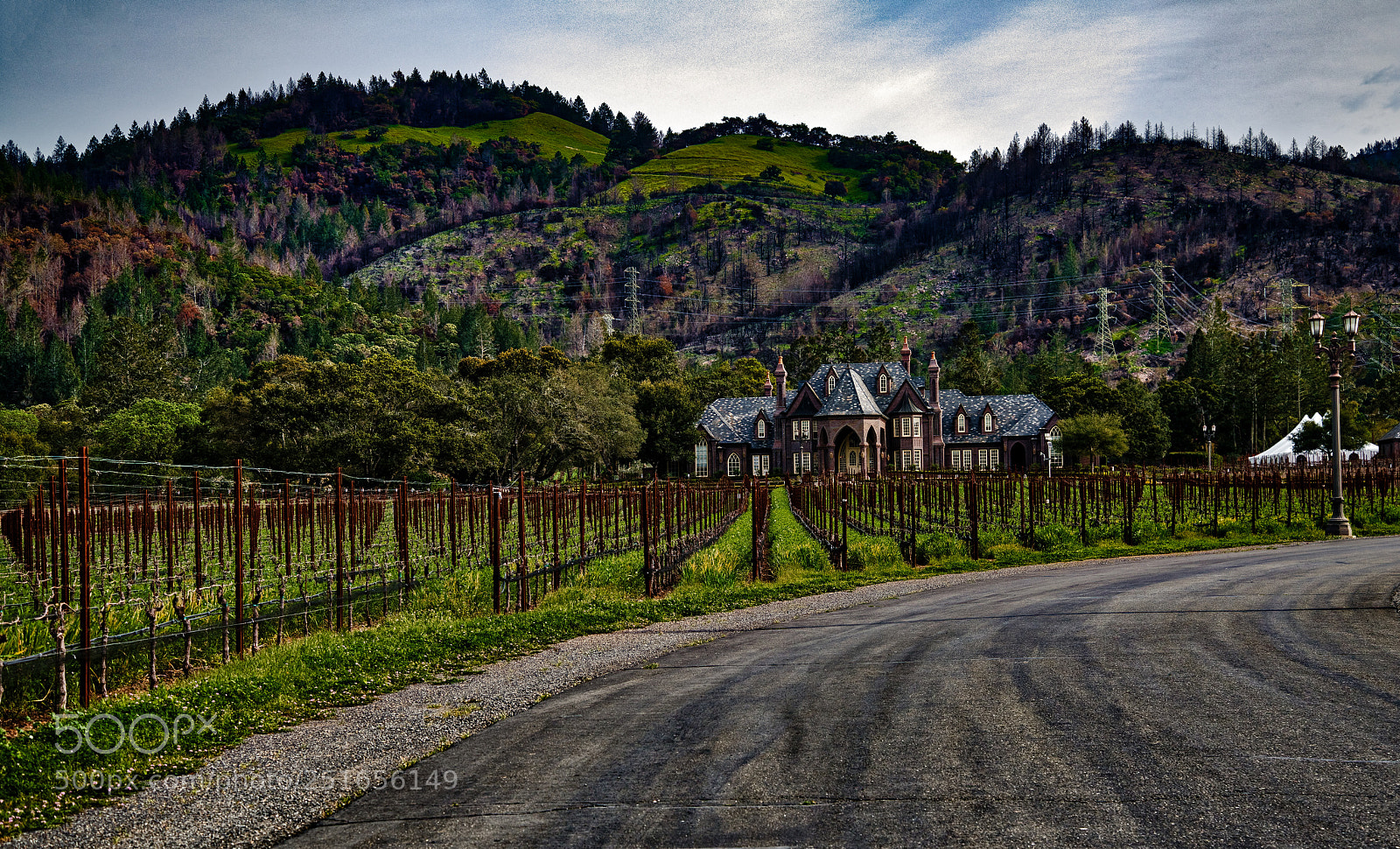 Nikon D850 sample photo. Ledsen winery escapes wildfire photography