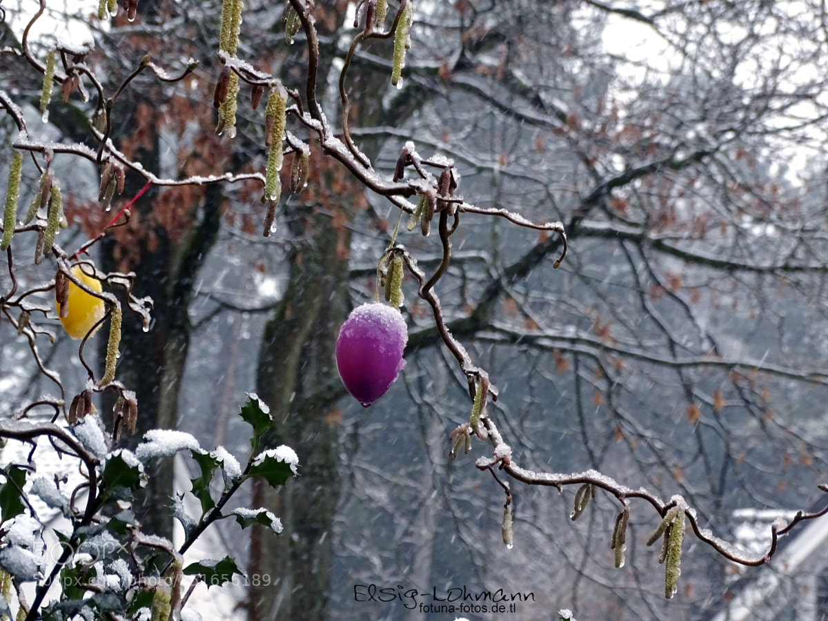 Sony Cyber-shot DSC-HX400V sample photo. Happy easter photography