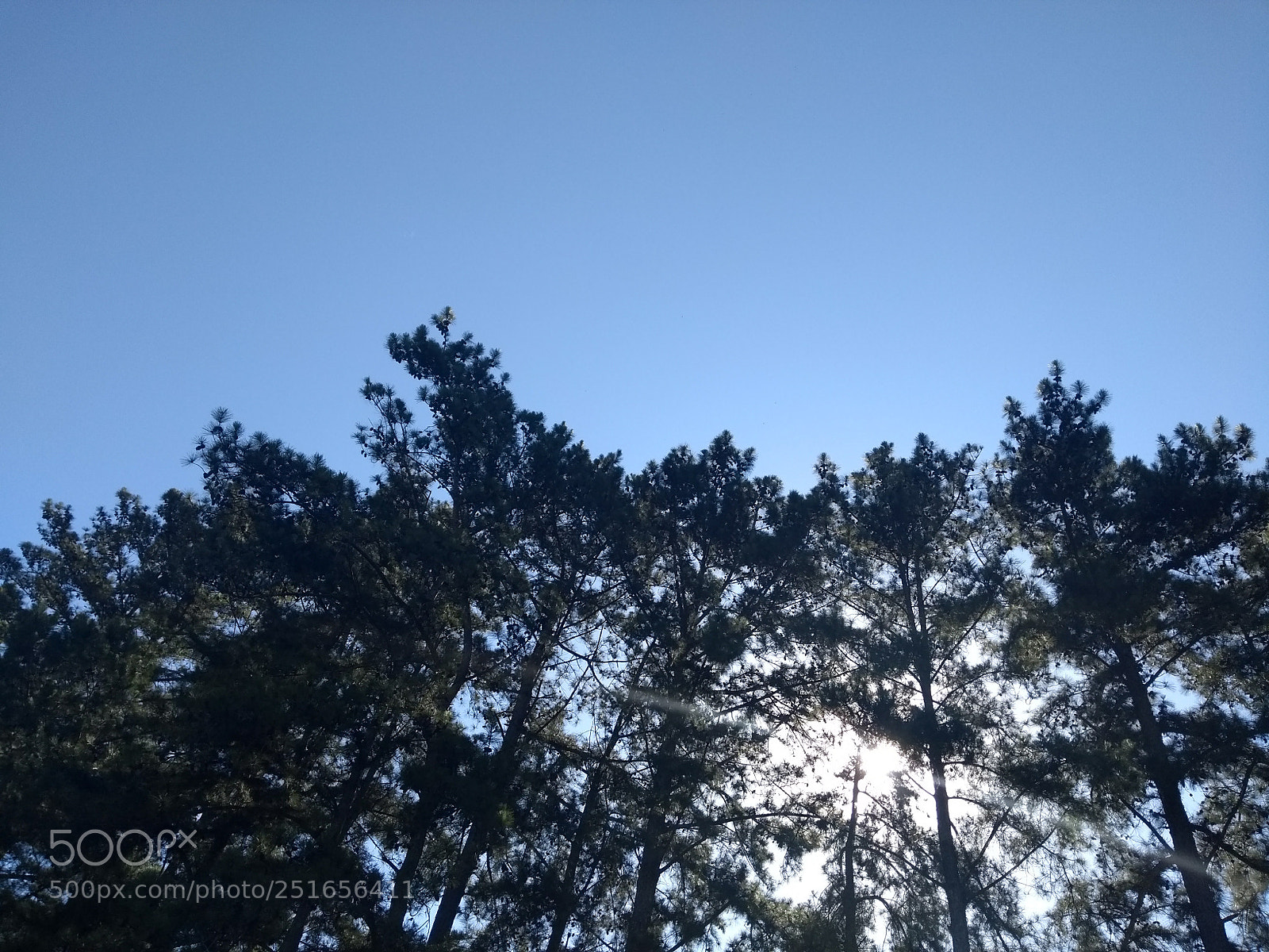 Motorola Moto G (5th Gen) sample photo. Untitled photography