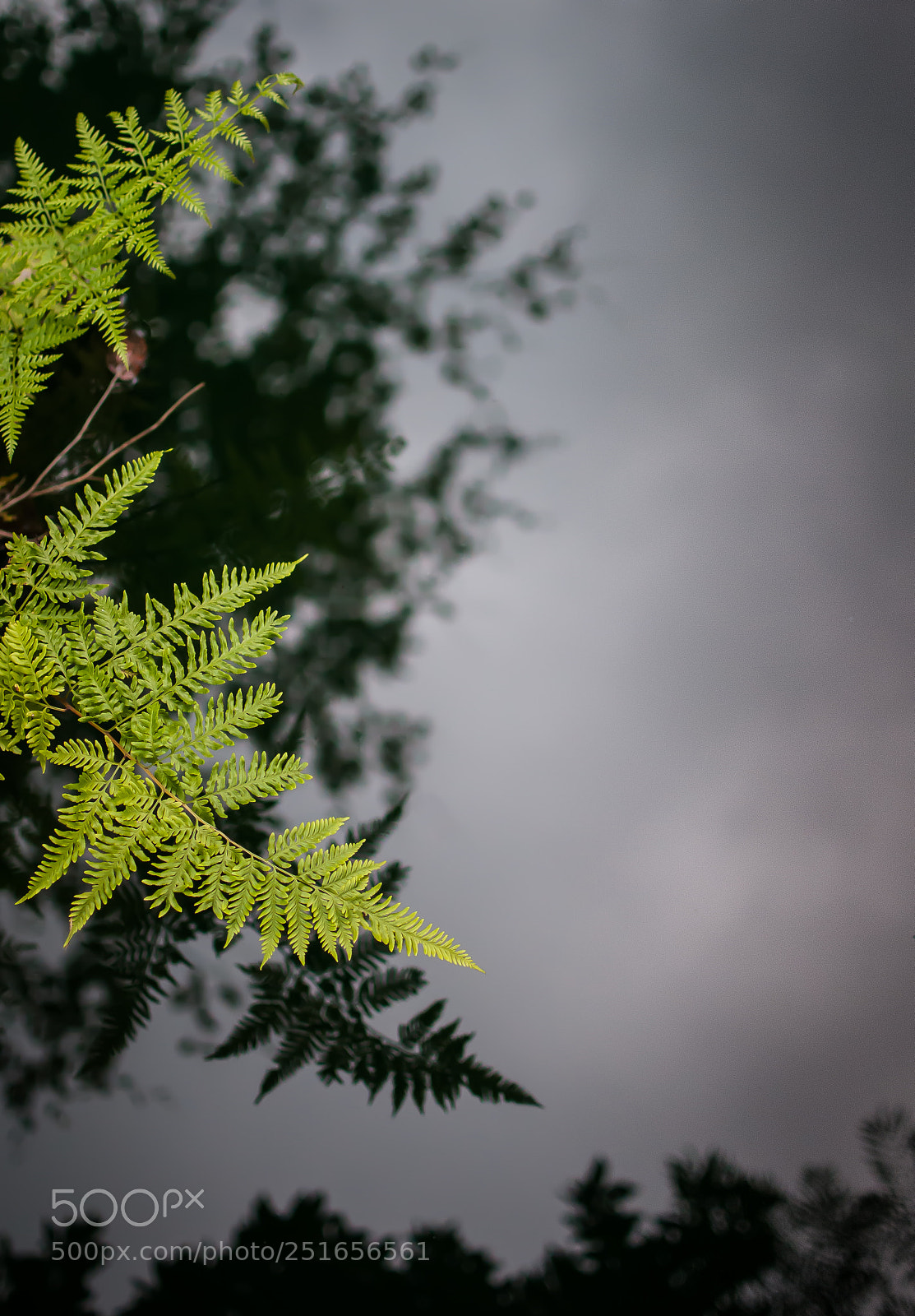 Nikon D300 sample photo. Reflections iii photography